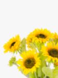 Floralsilk Artifical Sunflowers in Large Jug