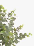 Floralsilk Artifical Eucalyptus in Tin Pot