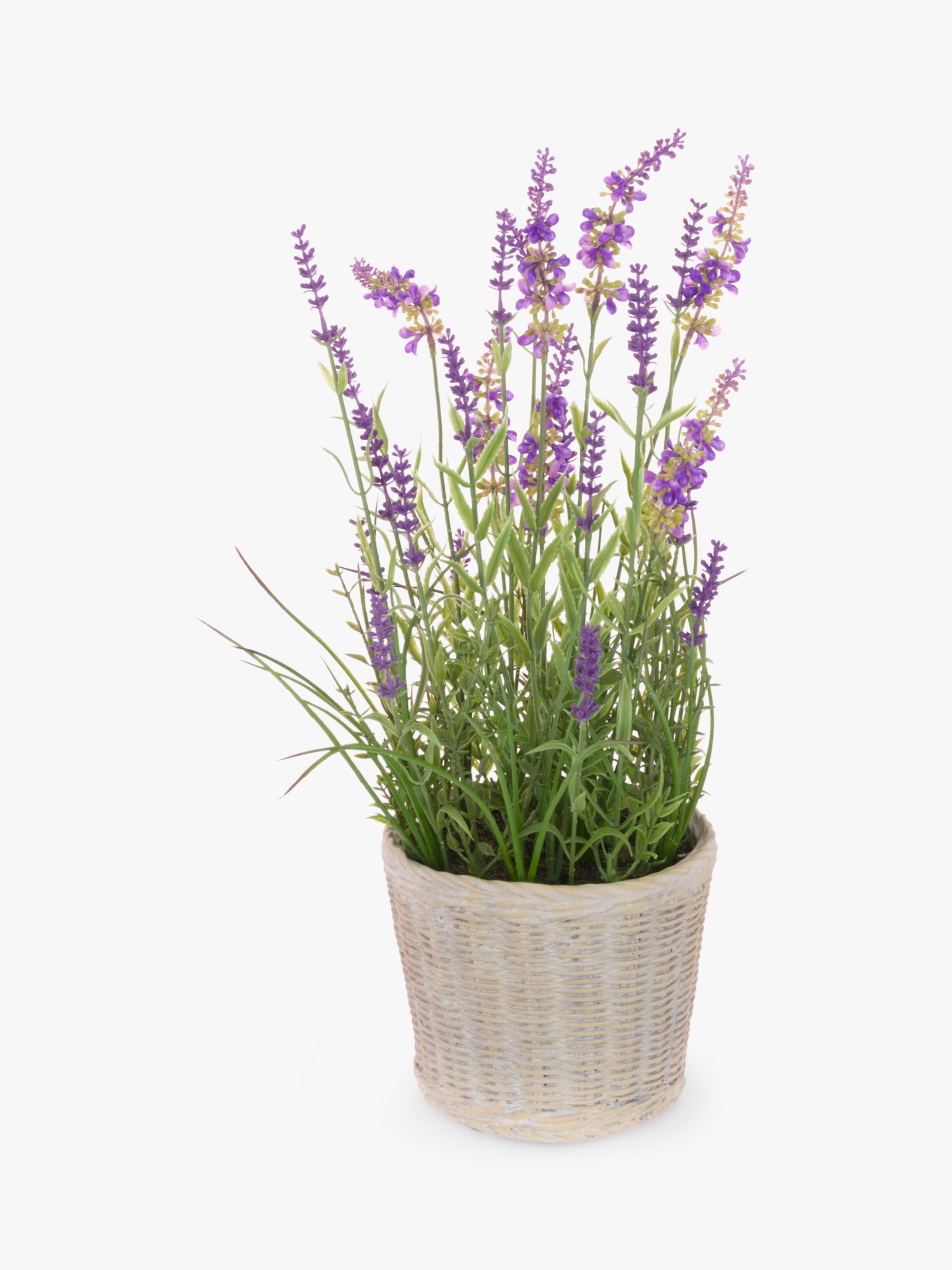 Floralsilk Artifical Lavender Plant in Ceramic Pot