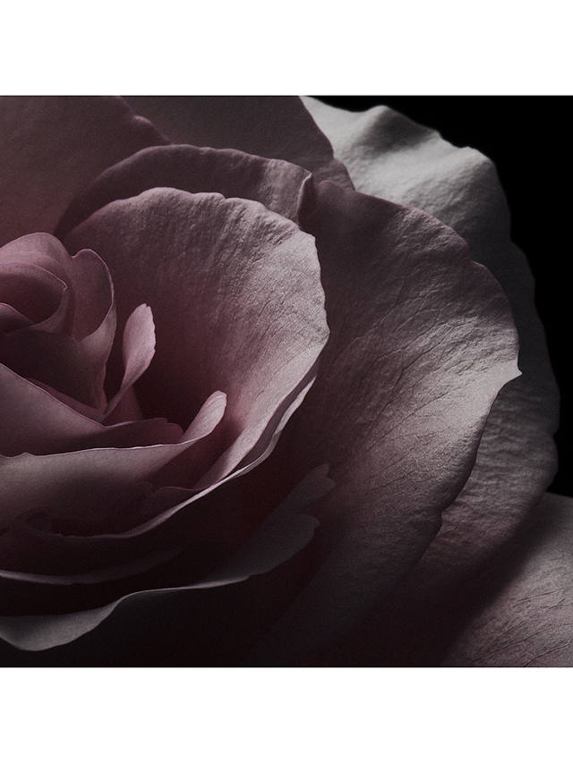 Van Cleef & Arpels Moonlight Rose Eau de Parfum, 75ml 7
