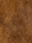 Mottled Velvet Ochre