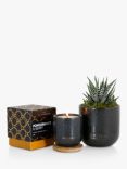 The Little Botanical Back to Black Candle Gift Set