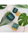 The Little Botanical Forever Green Candle Gift Set