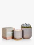 The Little Botanical Touch of Grey Candle Gift Set