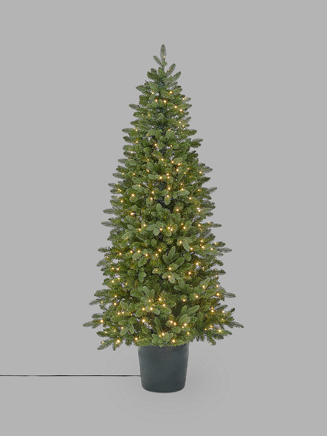 John Lewis Bala Green Potted Pre-lit Christmas Tree, 7ft