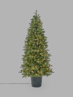 John Lewis Bala Green Potted Pre-lit Christmas Tree, 7ft