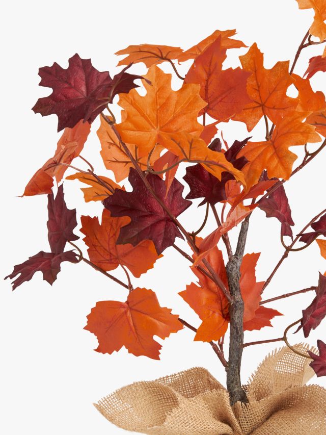 John Lewis Autumn Leaf Tree in Pot, H66cm