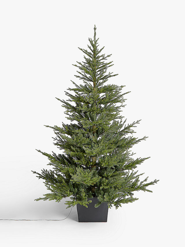 John Lewis Cotswold Potted Pre-lit Christmas Tree, 7ft