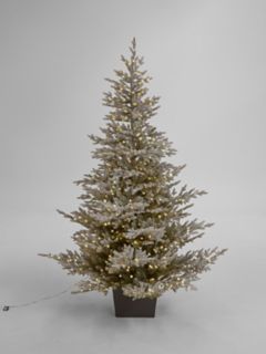 John Lewis Cotswold Snowy Potted Pre-lit Christmas Tree, 7ft