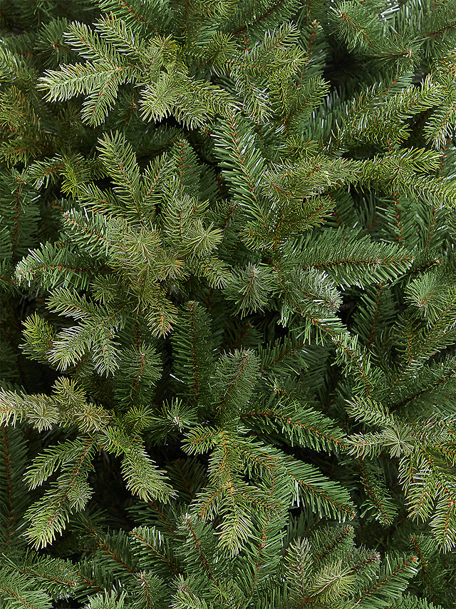 John Lewis Brunswick Spruce Unlit Christmas Tree, 6ft