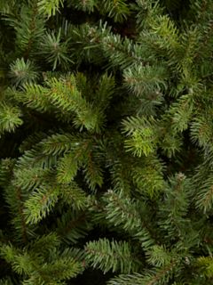John Lewis Brunswick Spruce Unlit Christmas Tree, 7ft