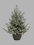 John Lewis Cotswold Snowy Potted Pre-lit Christmas Tree, 3ft