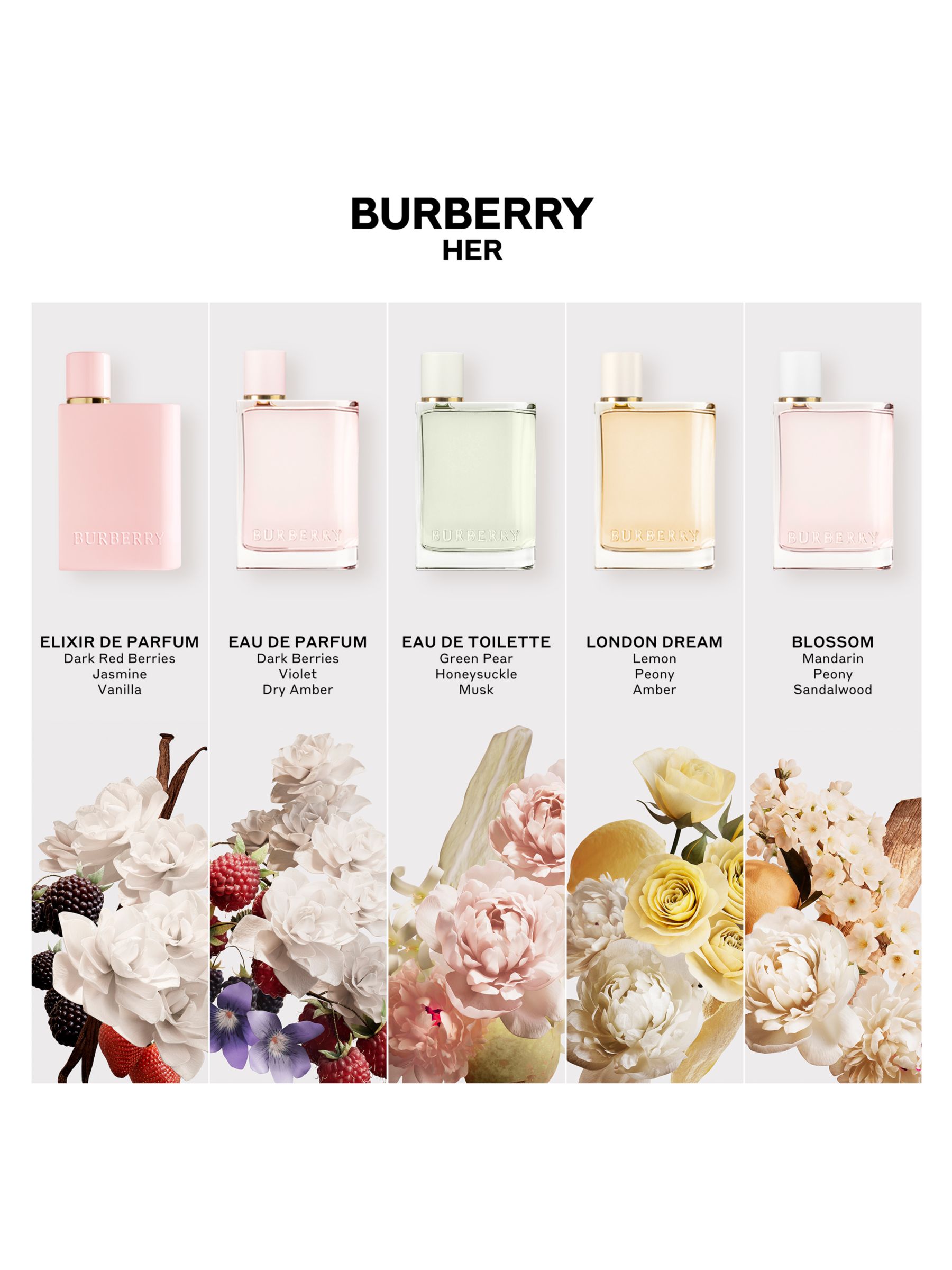 Burberry Her Elixir de Parfum for Women, 50ml 7