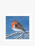 Museums & Galleries Robin in the Snow Christmas Cards, Pack of 8