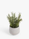 John Lewis Artificial Rosemary Plant & Concrete Pot