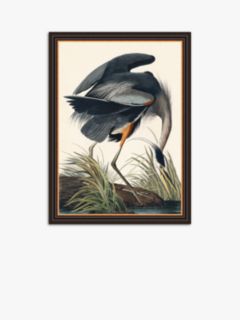 John James Audubon - Blue Heron Framed Print, 77 x 57cm, Grey/Multi