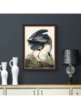 John James Audubon - Blue Heron Framed Print, 77 x 57cm, Grey/Multi