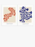 John Lewis ANYDAY 'Serie Botanique' Unframed Prints, 40 x 30cm, Set of 2, Orange/Blue