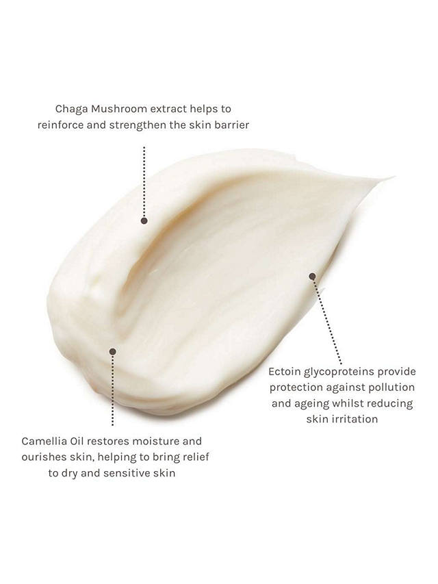 Evolve Organic Beauty Pro + Ectoin Soothing Cream, 60ml 2
