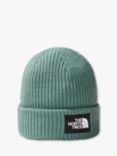 The North Face Salty Dog Beanie, Dark Sage