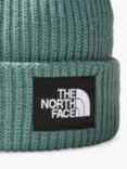 The North Face Salty Dog Beanie, Dark Sage