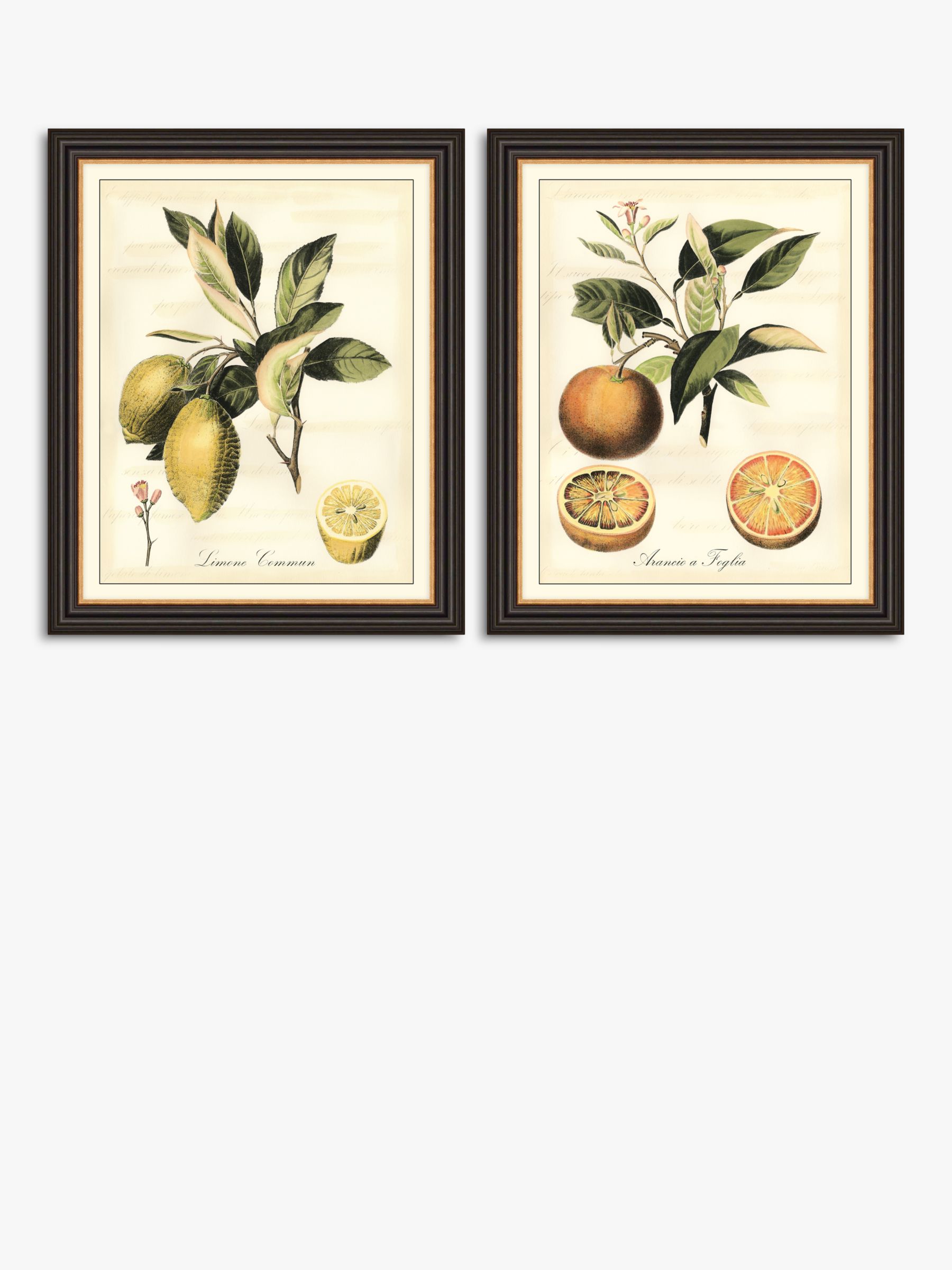 Vision Studio - 'Tuscan Fruit' Framed Print, Set of 2, 57 x 47cm, Green/Multi
