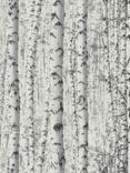 Galerie Birch Tree Motif Wallpaper, BW51006