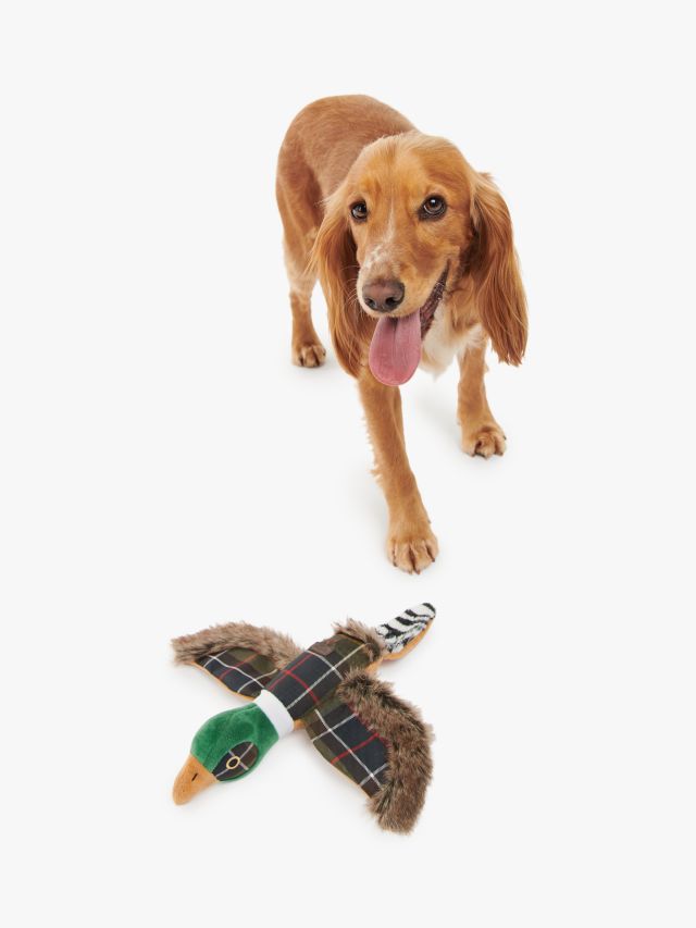 Barbour Tartan Squeaky Pheasant Dog Toy