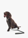 Barbour Reflective Tartan Comfort Dog Lead, Brown/Multi
