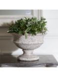One.World Birkdale Terracotta Indoor Urn Plant Pot, H22cm, Natural Stone
