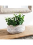 One.World Birkdale Terracotta Oval Planter, 35cm, Natural Stone