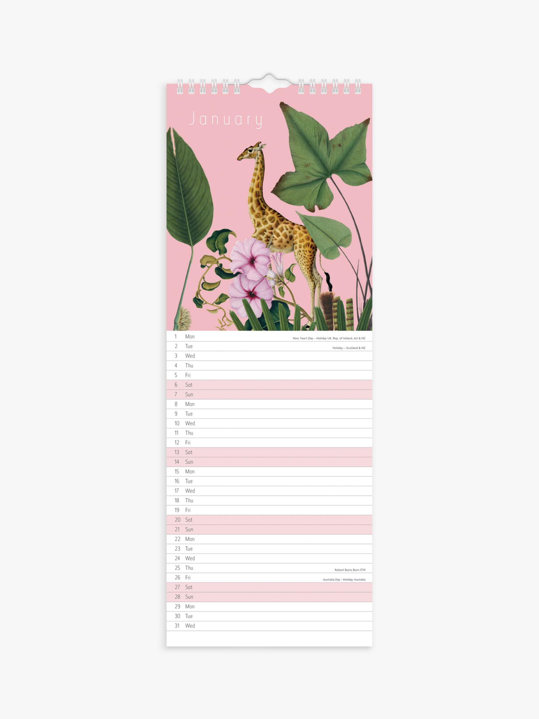 Portico Natural History Museum Calendar, 2024