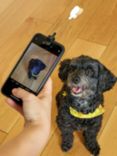 Kikkerland Kobe Dog Treat Selfie Clip