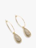 John Lewis Diamante Encrusted Teardrop Drop Earrings, Gold