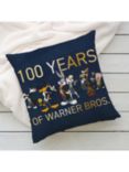 Harry Potter Warner Bros Mash Up Limited Edition 100th Anniversary Square Cushion