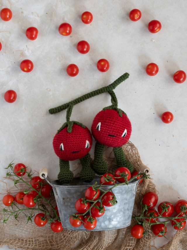 Cherries Crochet Kit for Beginners