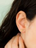 IBB 9ct Yellow Gold Cubic Zirconia Stud Earrings