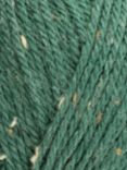 West Yorkshire Spinners ColourLab Aran Knitting Yarn, 100g, Racing Green Tweed