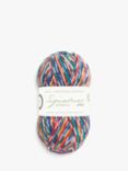 West Yorkshire Spinners Signature Sparkle 4 Ply Yarn, 100g, Nutcracker