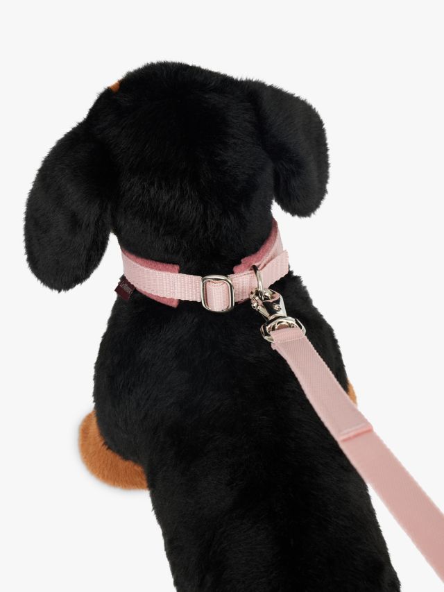 Matching dog collar clearance leash and harness