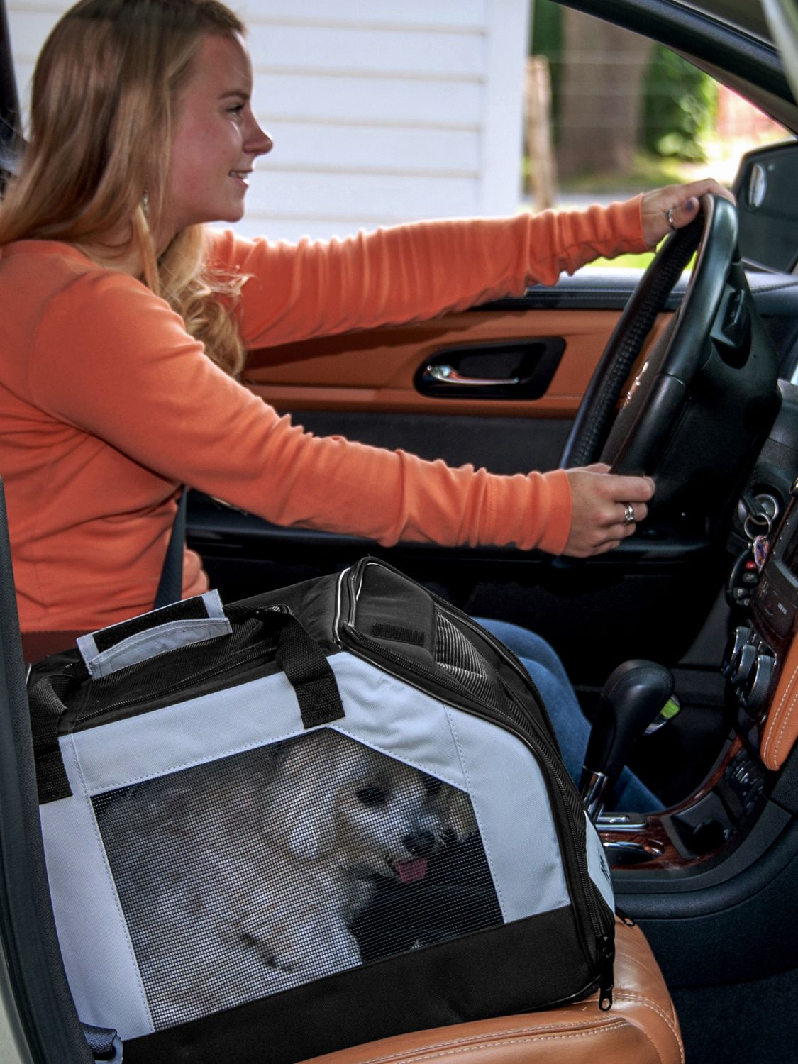 Pet shop seat carrier