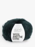 Wool And The Gang Take Care Mohair, 50g, Powder Green