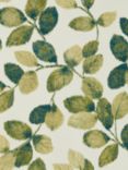 Clarke & Clarke Northia Wallpaper, Olive/Peacock W0159/03