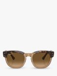 Ray-Ban RB0298S Unisex Polarised Mega Hawkeye Sunglasses, Havana On Transparent Brown/Brown Gradient