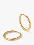 Orelia Luxe Mid Size Hoop Earrings, Gold