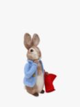 The Crafty Kit Company BEATRIX POTTER™ Peter Rabbit Needle Felting Kit
