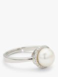 Lido Single Freshwater Pearl & Cubic Zirconia Halo Style Ring, Silver