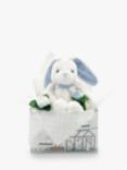 Babyblooms Personalised Bunny and Buds New Baby Gift Set, Blue