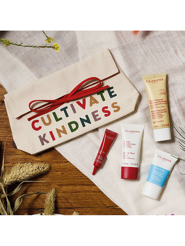 Clarins FEED Gift 2