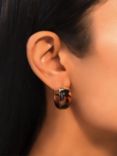 Lauren Ralph Lauren Resin Hoop Earrings, Gold/Tortoiseshell